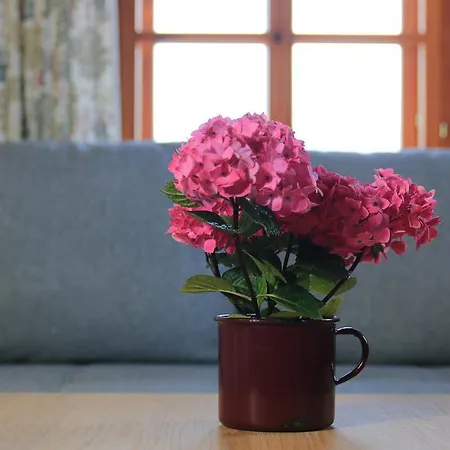 Apartment Schlossl